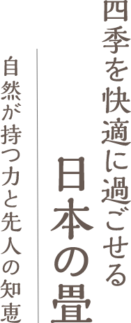 畳のしくみから、畳をお部屋に敷くメリット、畳を長くご利用いただくためのお手入れ方法、畳のある豊かな暮らしなどをご紹介しております。