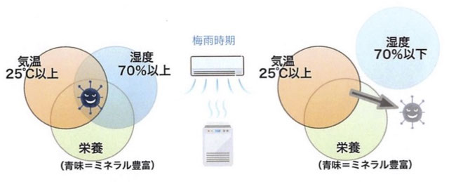 畳（たたみ）には三要素を避けよう！！