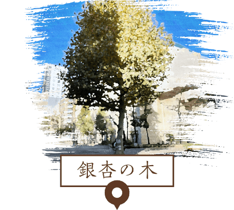 銀杏の木