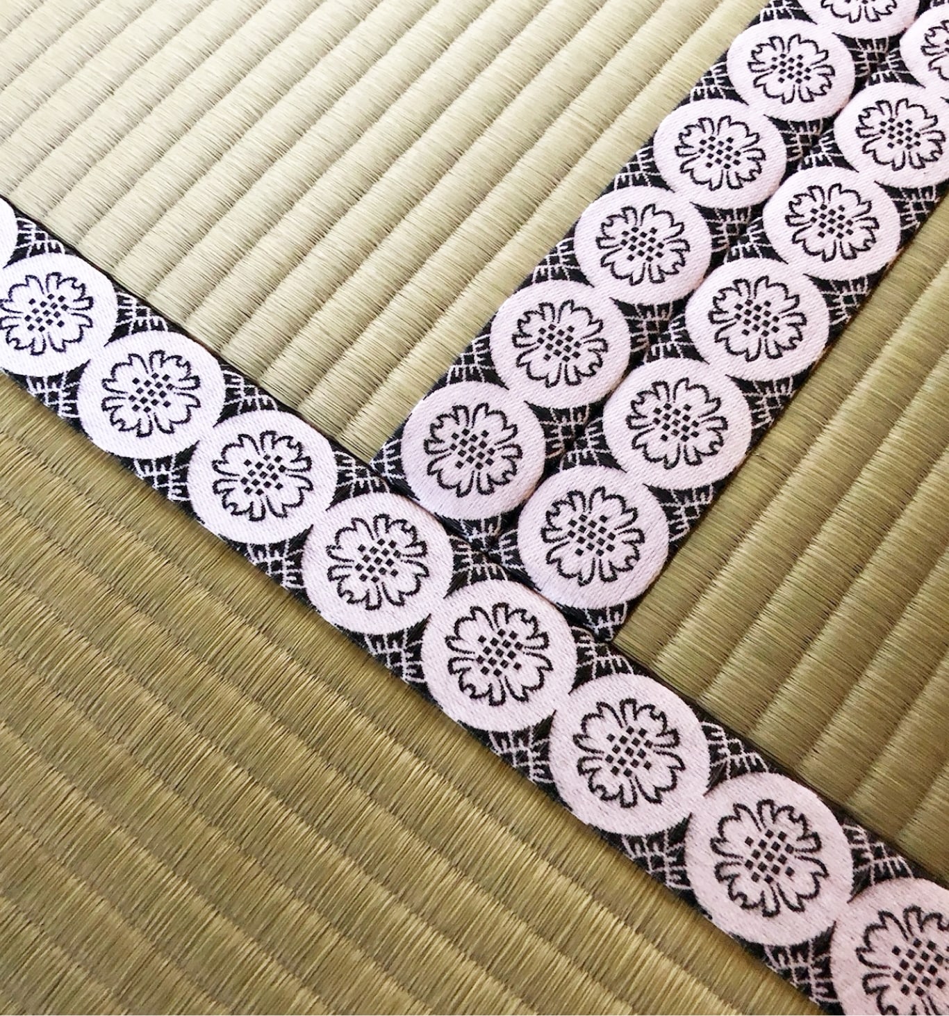 美しく魅せる縁