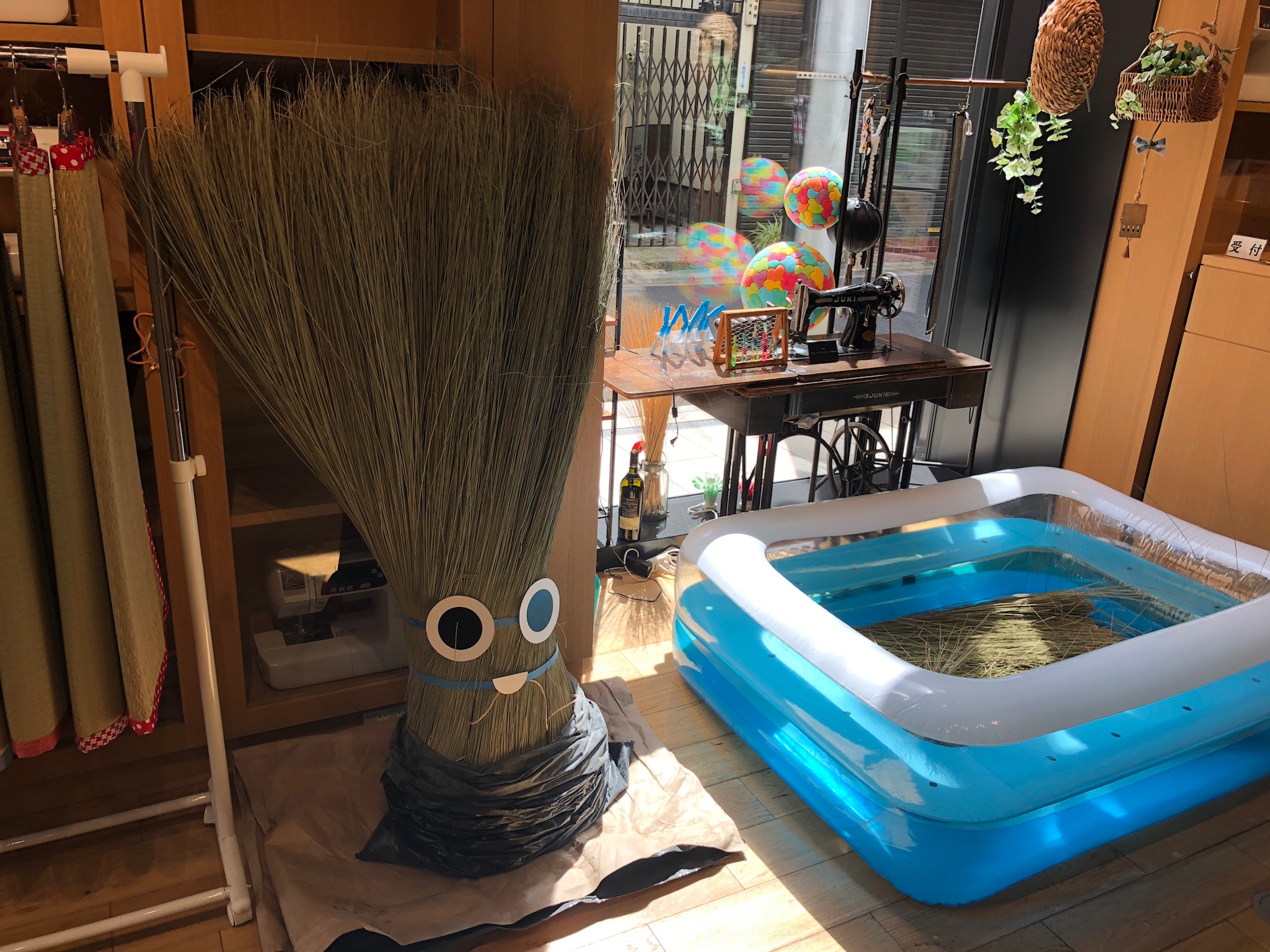 畳プールとイグサくん