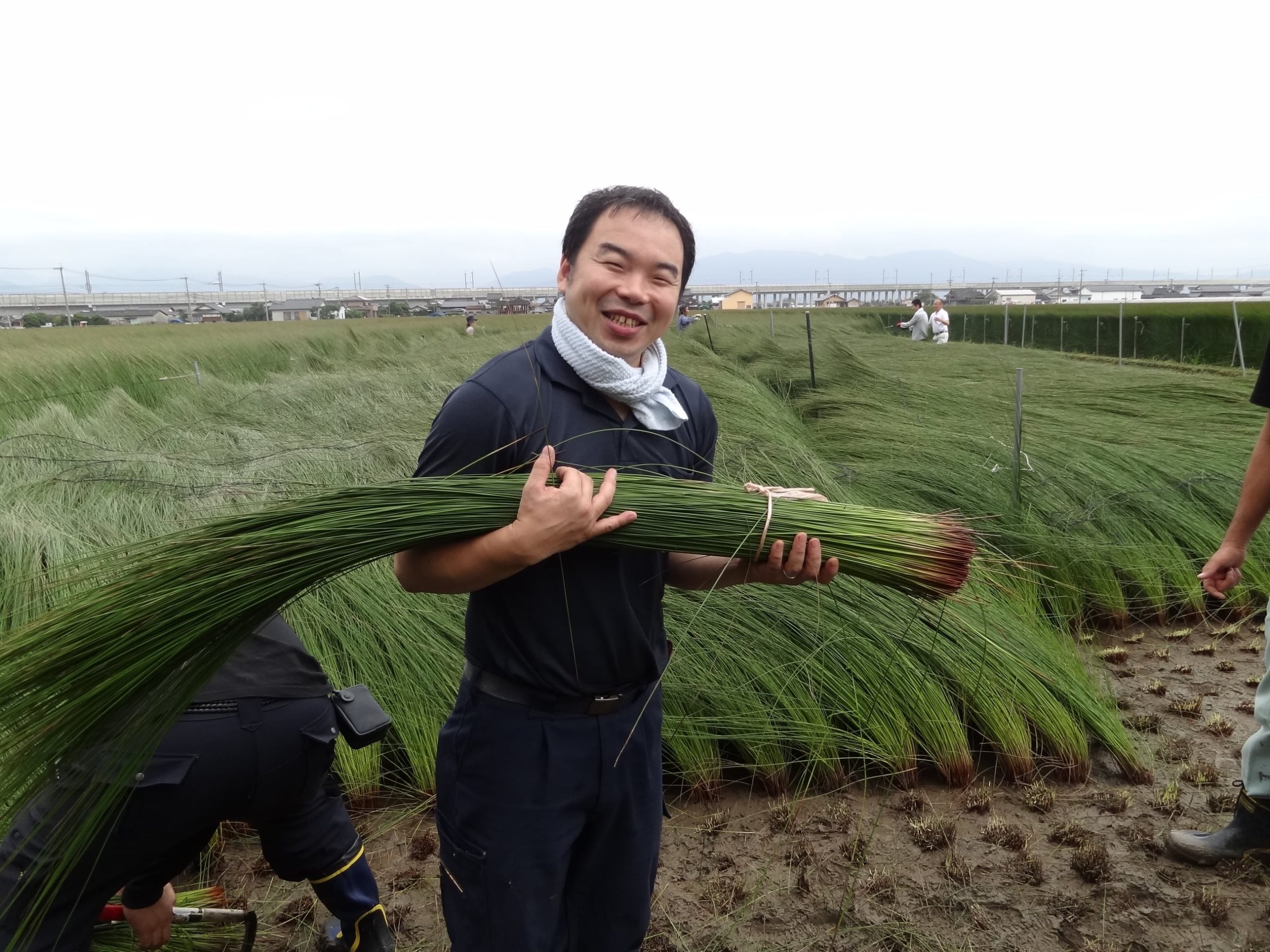 国産の天然素材と暮らす